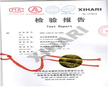 XRNP-12KV 0.5A-1檢驗(yàn)報告